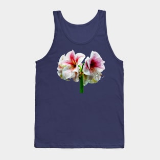 Amaryllis Novella Tank Top